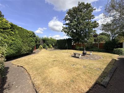 Picture 25